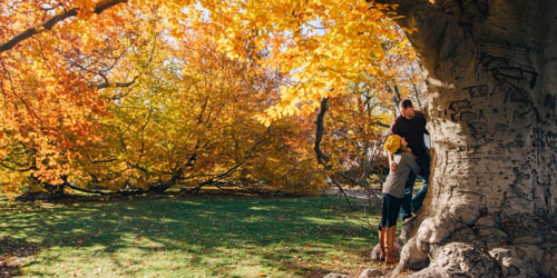 Złota jesień życia